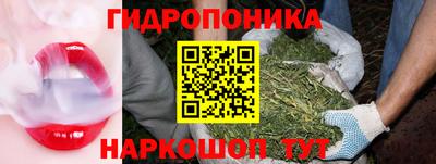 бошки Малгобек