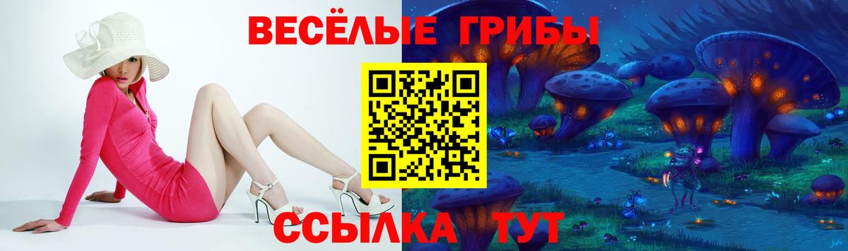 Строитель  Псилоцибиновые грибы мицелий  Вход с VPN  Псилоцибиновые грибы Magic Shrooms 