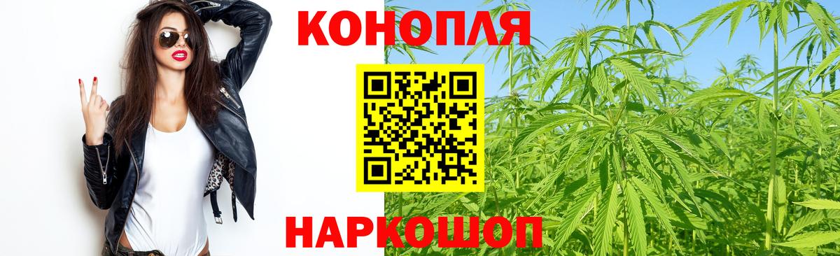 Бошки Шишки MAZAR Строитель